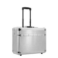 Dermata Business Executive Pilottrolley zilvergrijs Handbagage koffer